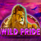 wild pride slot at vulkanvegas
